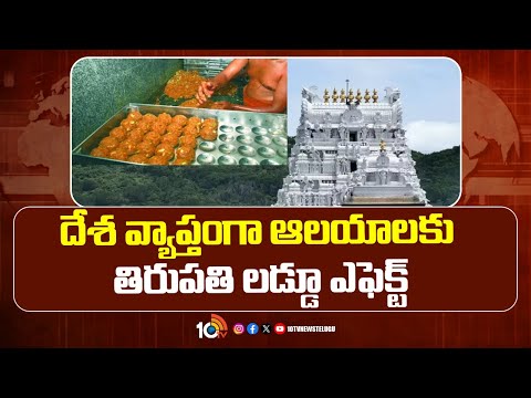 Tirumala Laddu Controversy | దేశ వ్యాప్తంగా ఆలయాలకు తిరుపతి లడ్డూ ఎఫెక్ట్ | 10TV News