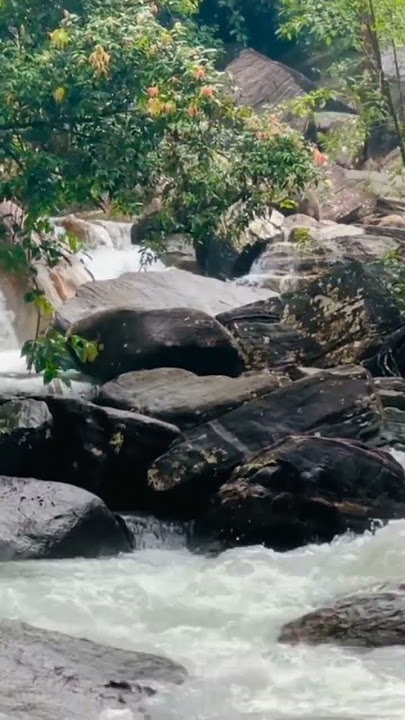 මහී property #idamaduwata #travel #nature #avissawella #landforsale