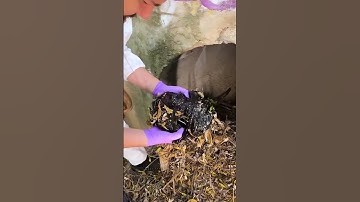 LOL! Someone’s Crazy Ex Just Threw a WOW CUBE! 😂💔 #wowcube