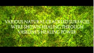 Download lagu Vaseline PAS 2014