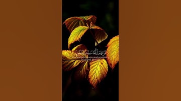 القارئ: حمزة الفار