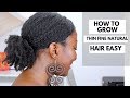 6 Most Important Tips On How To Grow Thin Fine Natural Hair || Adede