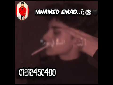 شايف غلك