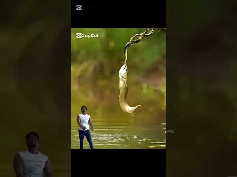 Bosco 709 Msauza MIX 2024 Bosco709 Musauza Mix