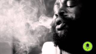 Nas & Damian Marley - Patience chords - reddragon11554