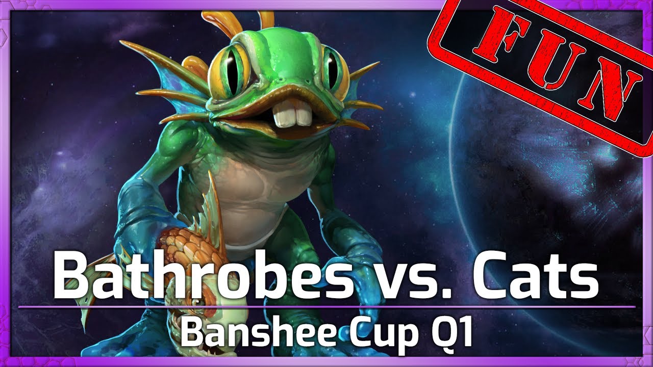 Bathrobe Boys vs. Cats Winners Final Q1 Heroes of the Storm YouTube