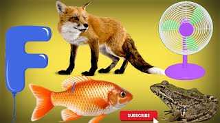 Words That Start With F | F For Fish 🐠 | Popi's Pre School |