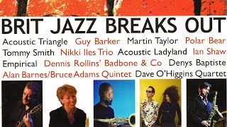 Watch Acoustic Ladyland The Rise video