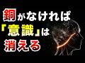 【意識の脆弱性】人間を人間たらしめる「たった1つの金属」。欠乏すれば自我が崩壊する理由