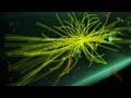 The god particle explained by bill nye the science guy