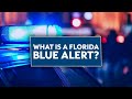 What is a Florida Blue Alert