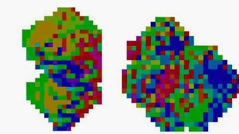 Fibonacci Word Fractal Variations 1 (Preliminary Version)