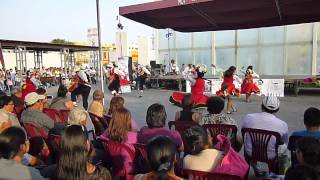 V Festival Internacional de Baile Folclórico en Pareja - 2014