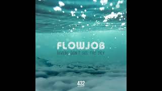 Flowjob - Divers Dont See The Sky (official audio) 432 Records