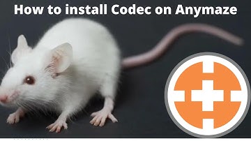 How to install codec for Any maze videos
