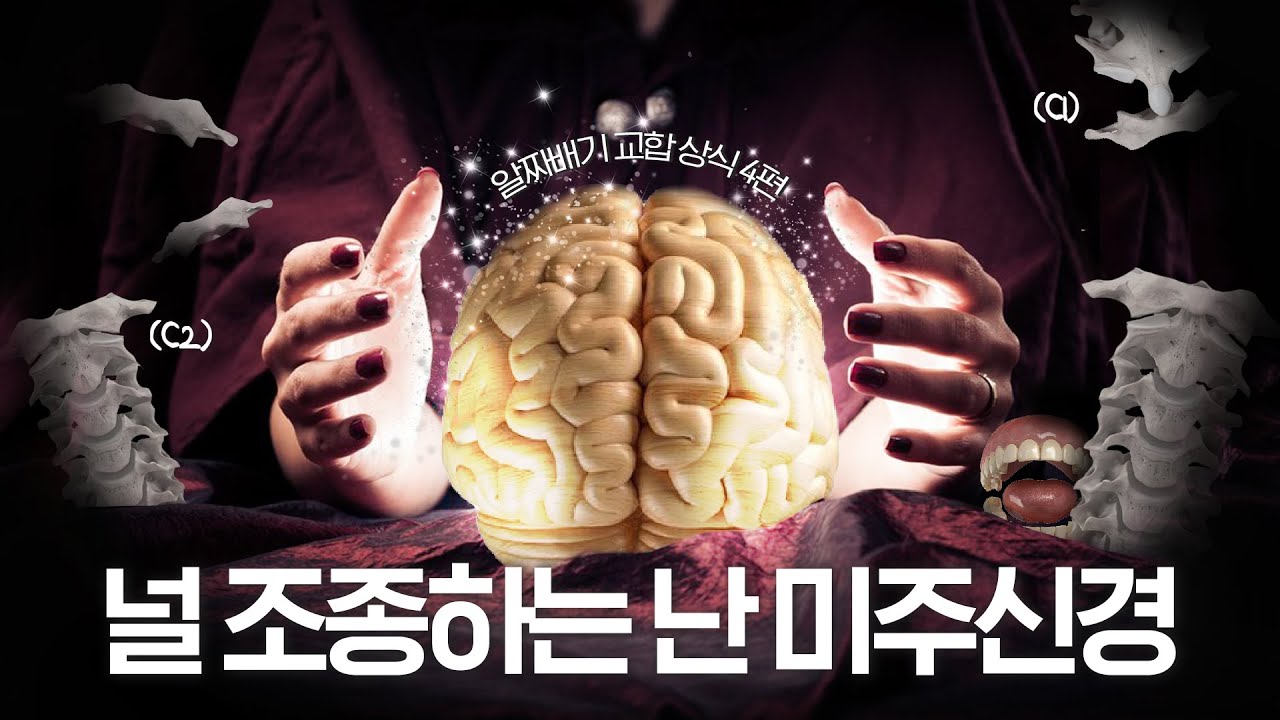 [壹日牙醫診所] [阿爾喬桑] EP 4. 操控你的我，是迷走神經