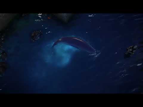 The Snail is About to Sail Around the World! 🗺️🐋 The Snail and the Whale Animated Tale