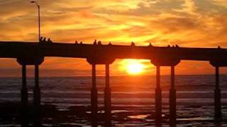 MVI_5863.AVI