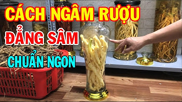 Đẳng sâm có tác dụng gì - Cách ngâm rượu đẳng sâm - Đẳng sâm ngâm rượu