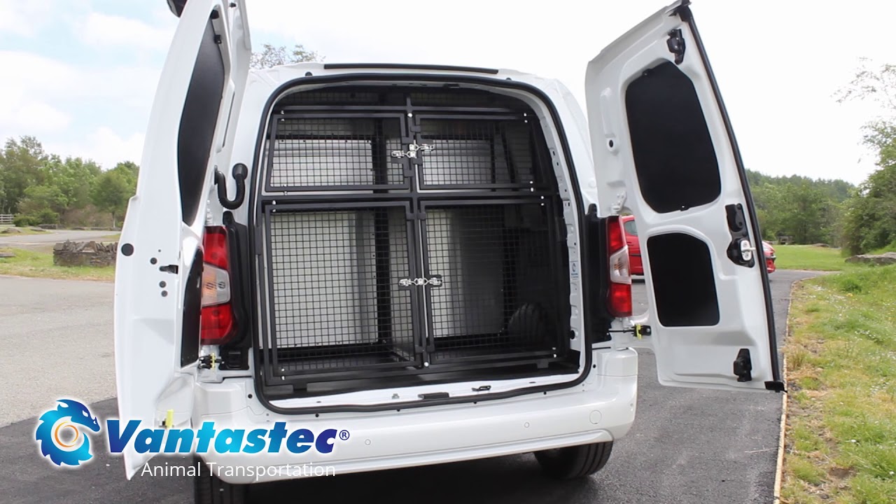 Dog Van Conversion | Dog Vans For Sale 