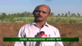 Proper water planning for cultivation of sugarcane crop