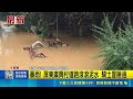 雨狂下道路積水! 民眾渾身濕怒脫鞋光腳通行｜三立新聞LIVE