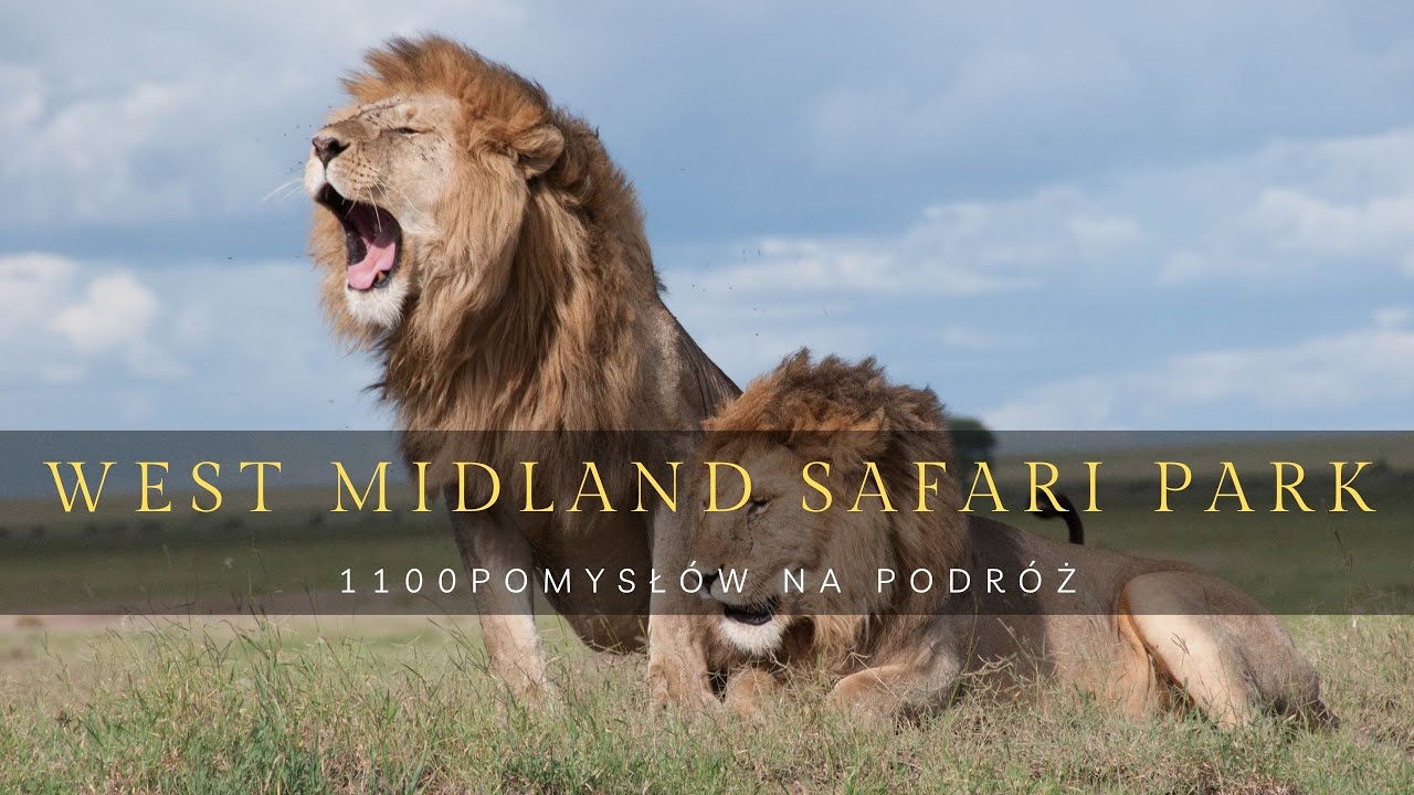 The Ultimate Safari Adventure at West Midland Safari Park – Spend the Night in the Wild!August 2022