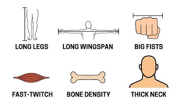 Every Physical Advantage In MMA Explained