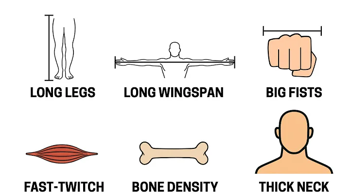 Every Physical Advantage In MMA Explained