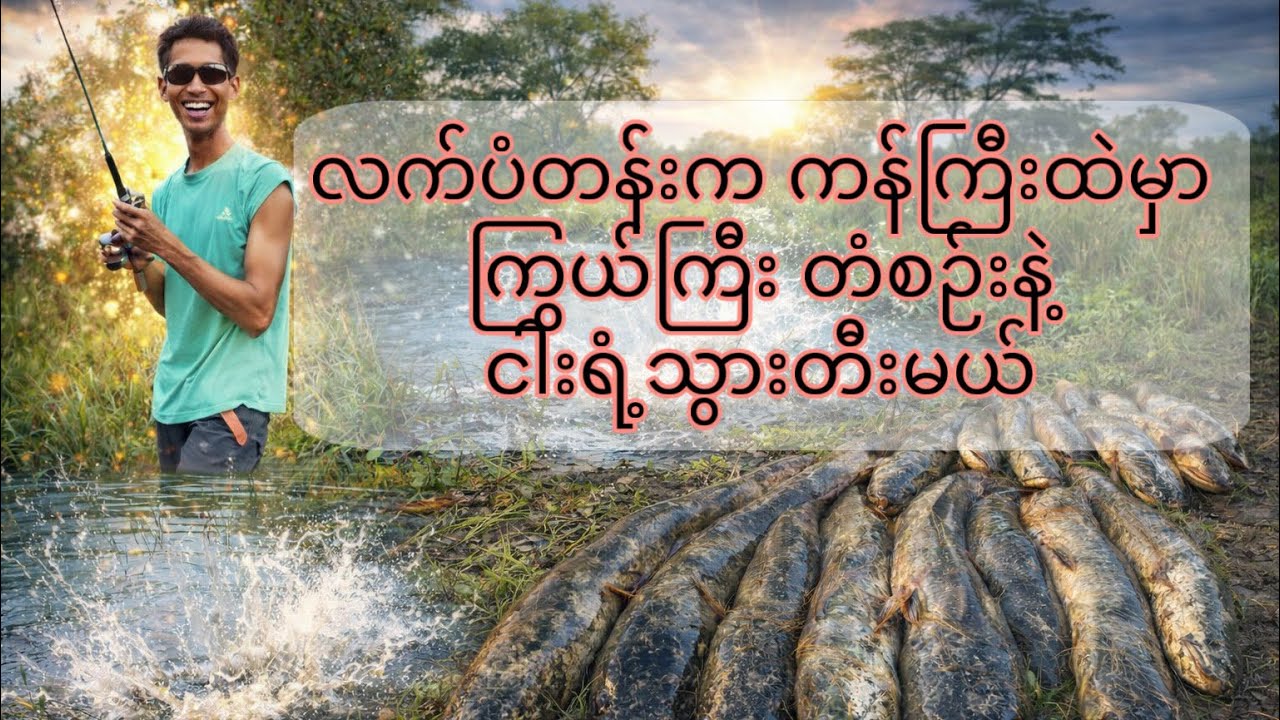 လက်ပံတန်းက ကန်ကြီးထဲမှာကြွယ်ကြီး တံစဉ်းနဲ့ငါးရံ့သွားတီးမယ် Part-1 #vlogbykokyaw #myanmaranglersdream