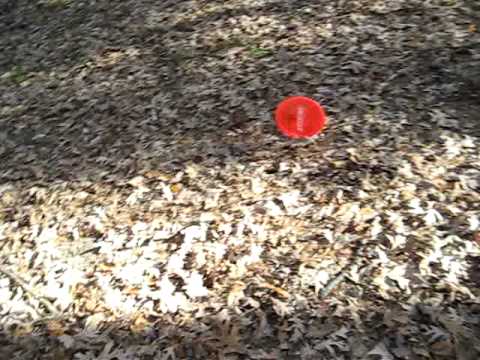 Blue Ribbon Pines disc golf shot air tree hit roller