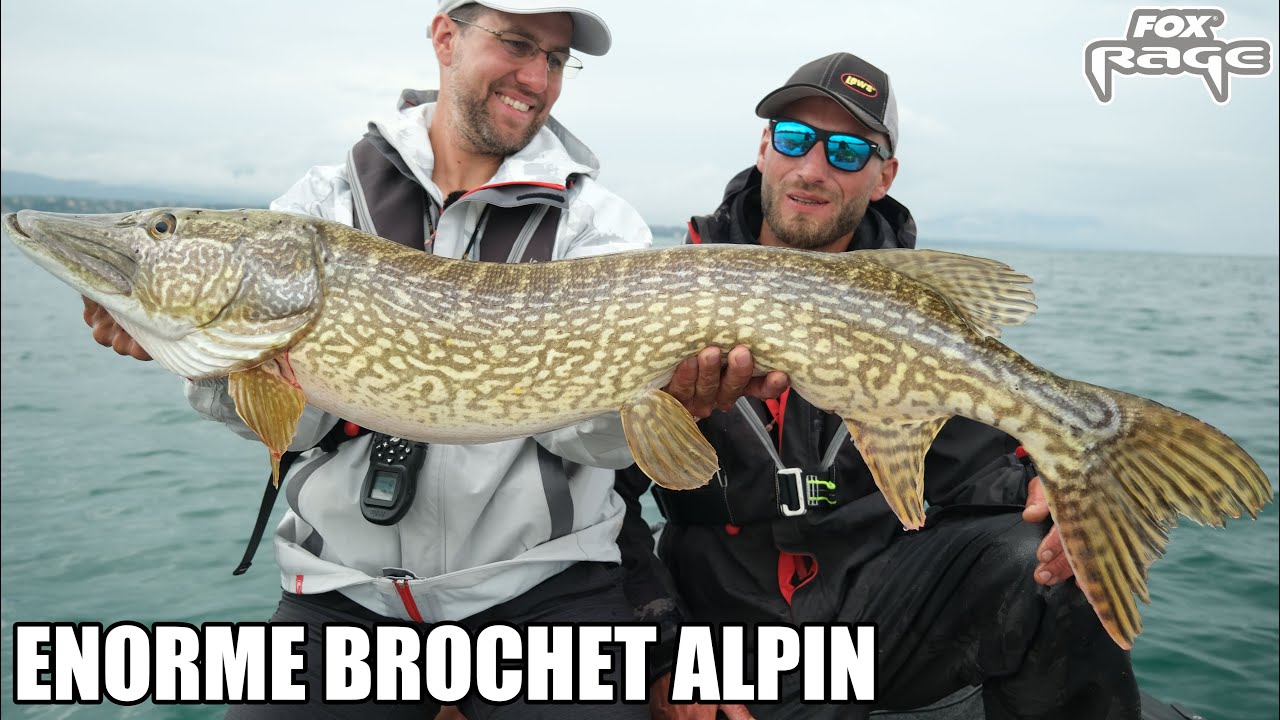 Le BROCHET D'UNE VIE sur le  LEMAN 