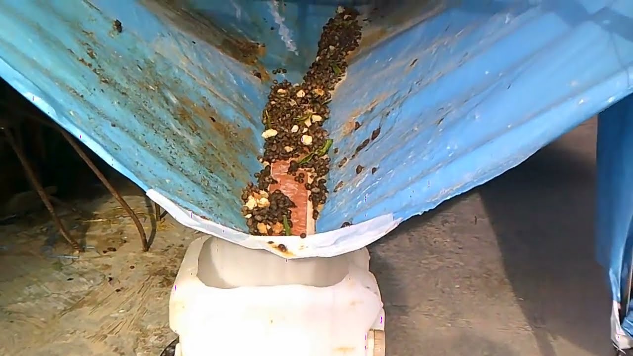 تخلص من فضلات و بول الأرانب بتقنية ذكية و بسيطة