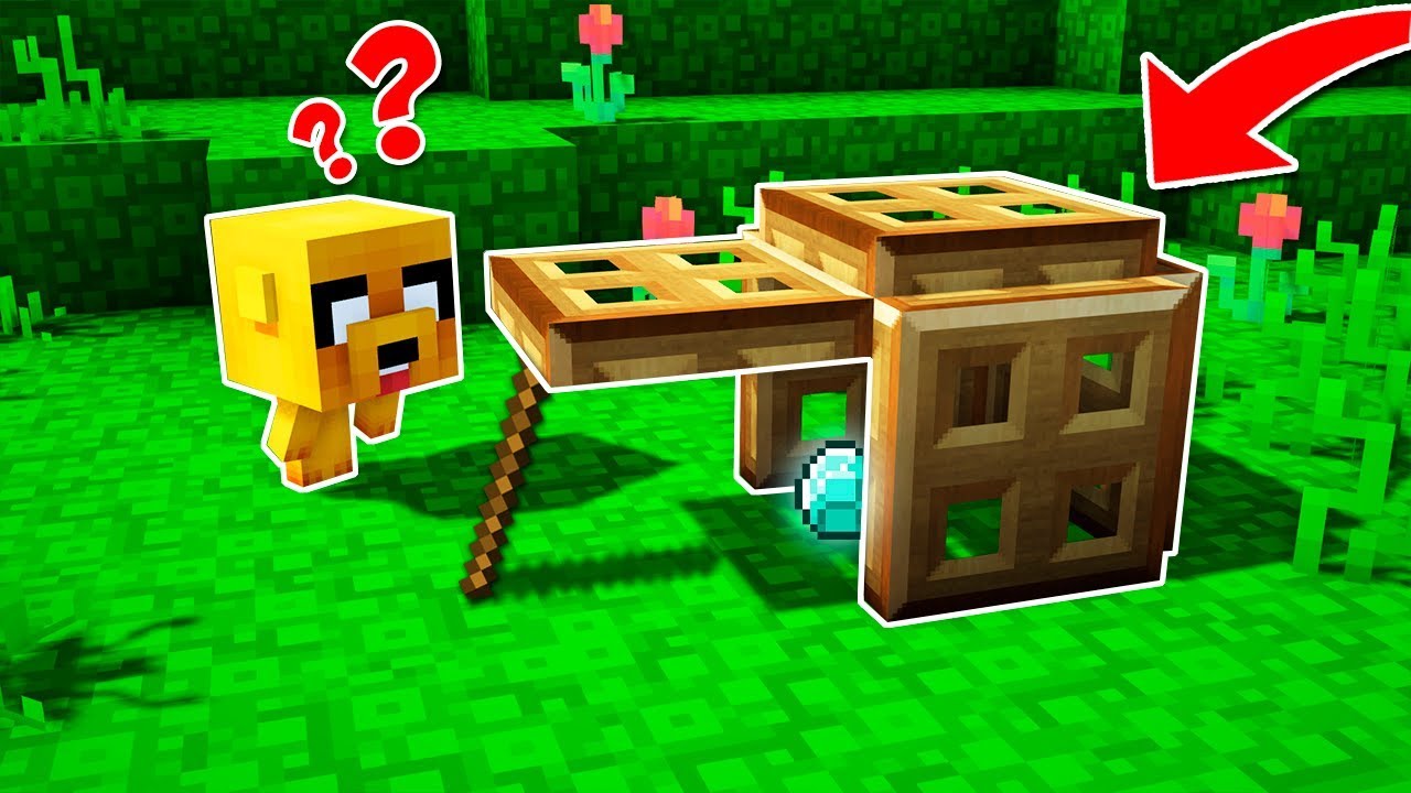 LA MEJOR TRAMPA PARA PERROS MINECRAFT TROLL YouTube