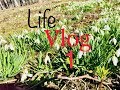 Life-vlog 1/ Весна на севере / шоппинг/ книги/
