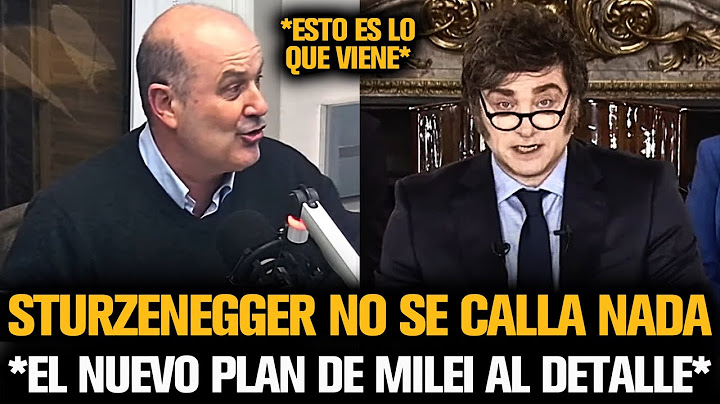 STURZENEGGER NO SE CALLA NADA Y EXPLICÓ EL NUEVO PLAN DE MILEI AL DETALLE