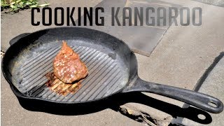 Cooking Kangaroo using only the Australian Sun!