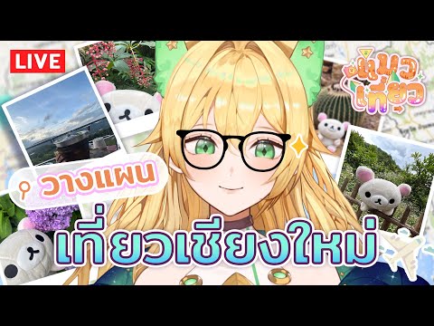 🔴【 แมวเที่ยว on Stream EP.4 】วางแผนแอ่วเชียงใหม่กันเจ้า 😼🥘🍛💚