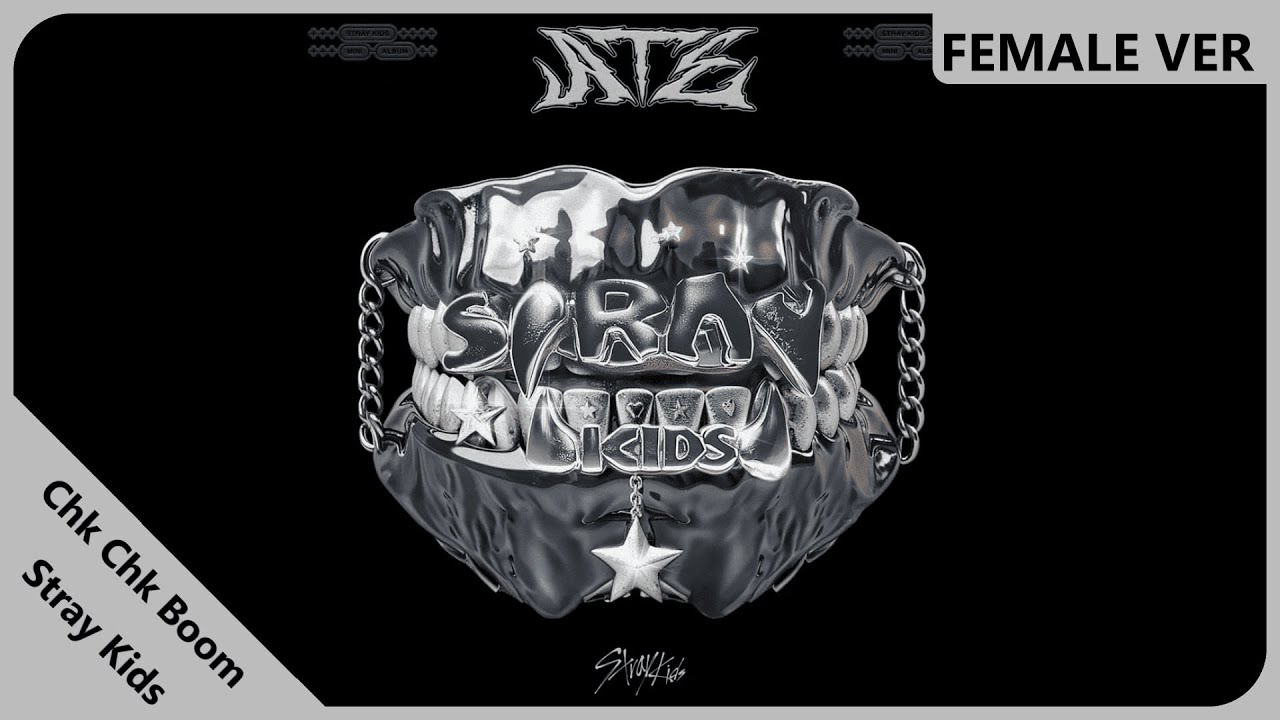 Stray Kids - Chk Chk Boom | Female Version | REQUESTED