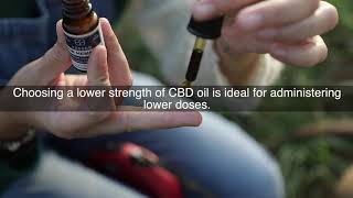 CBD For Pets : About Endoca Full Spectrum Medium Strenght CBD Oil