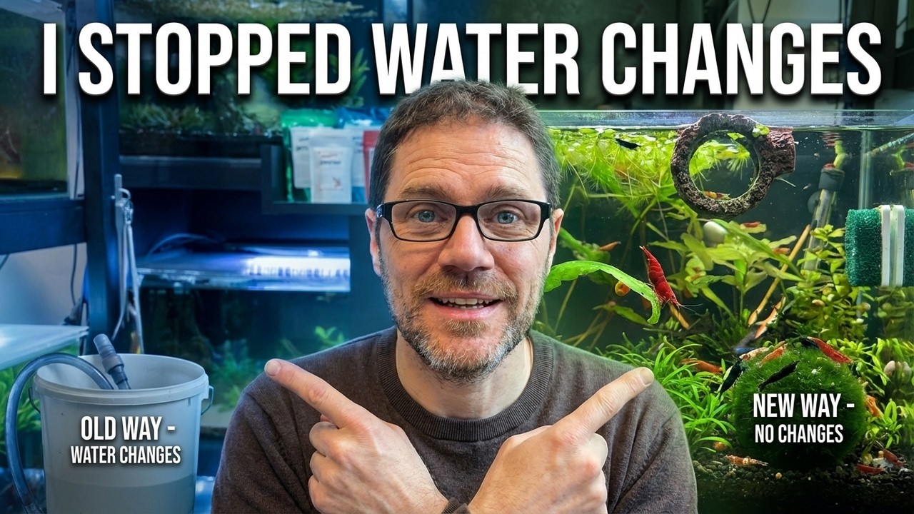 I Stopped Changing Water: Here's What Happened!