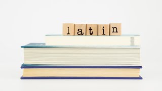 Translate Latin sentences in English