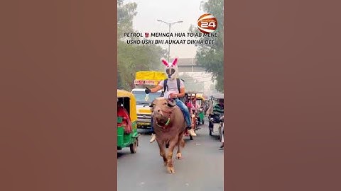 হেলমেট পরে ষাঁড়ের পিঠে যুবক!  #india #helmet  #channel24