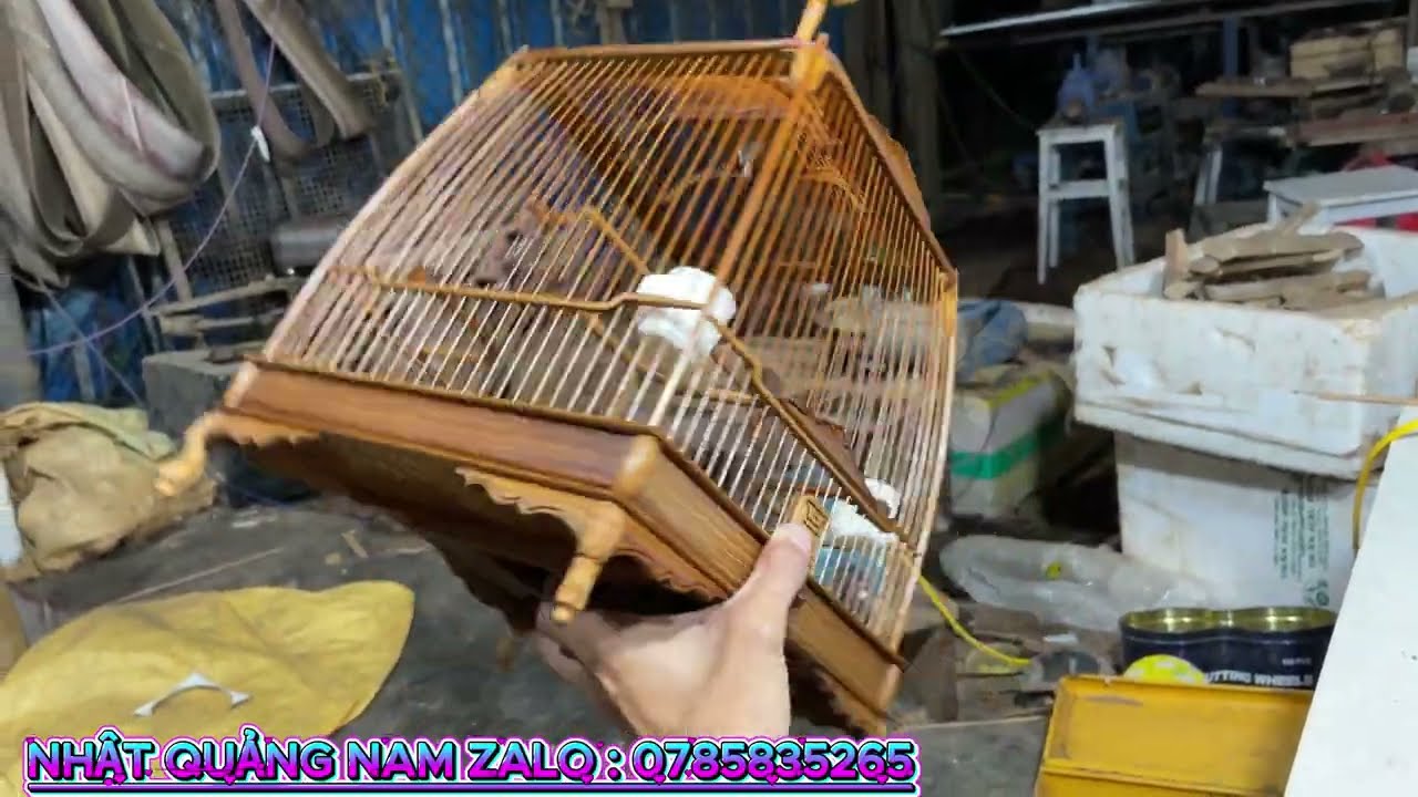 lồng chim hút mật nhật quảng nam