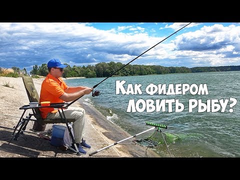 РЫБАЛКА на ФИДЕР для НОВИЧКА ☹ Почему НЕ ПОЛУЧАЕТСЯ ловить!