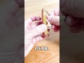 【バス釣り】カバースキャット3.5のフックの付け方(琵琶湖)