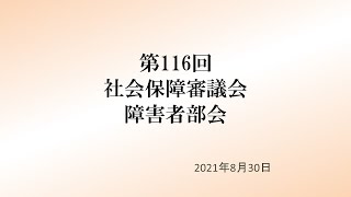 社会保障審議会障害者部会（第116回）動画（2021年８月30日）