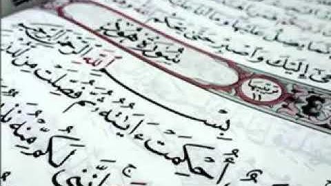 تلاوة جميلة هادئة مبكية فواز الكعبي سورة هود
