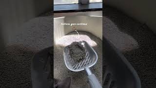 Two Brothers The Poop Scoop video