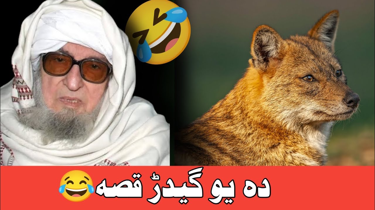 Da yaw gidar qisa 😂 | mulana bijlegar sahib byan in pashto 